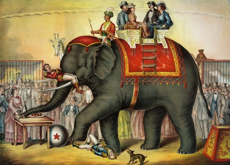 Los circos han llegado a la ciudad