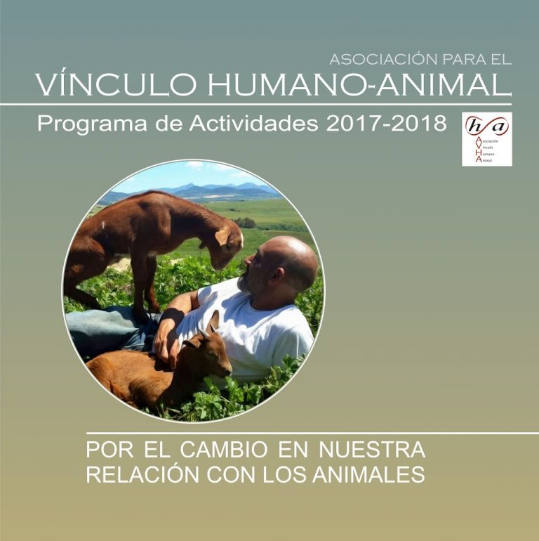 Programa de Actividades. III Ciclo: 2017 – 2018