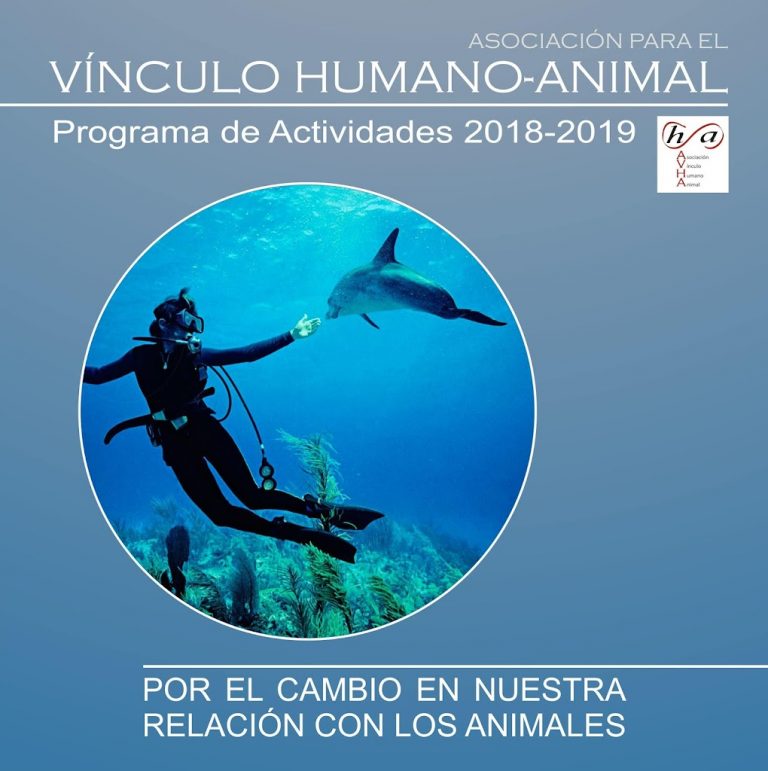 IV Ciclo de Actividades 2018-19